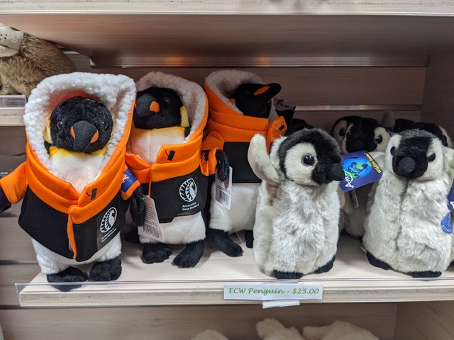 A shelf of stuffed penguins